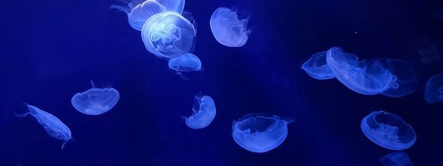 かなとさんの壁紙画像