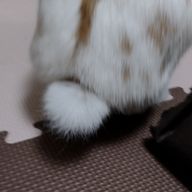 らむねさんのアイコン画像