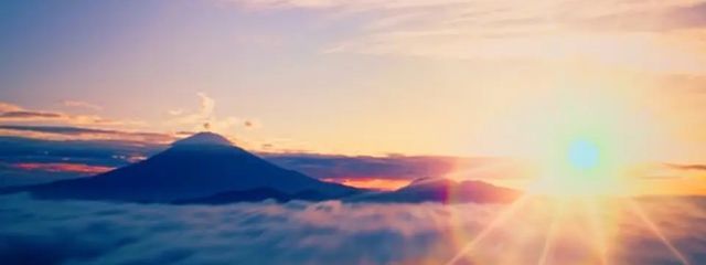 りのさんの壁紙画像