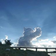 りのさんのアイコン画像