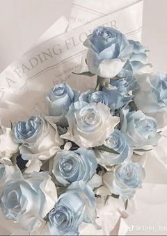 令和の陰キャ天女になって推しに嫌われて悲しんでるそうです