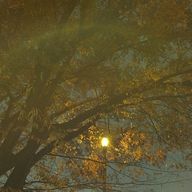 はるるん💙@推し尊すぎて滅さんのアイコン画像