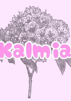 「Kalmia」グループ共有共同垢