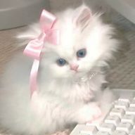 さにーれたすさんのアイコン画像