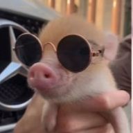 なー‪🌱‬さんのアイコン画像