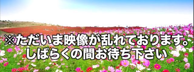 ◈三色味のめかめる◈ @他界隈に浮気さんの壁紙画像