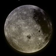 森のくまさんさんのアイコン画像