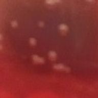 おゆさんのアイコン画像