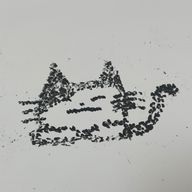 エスさんのアイコン画像
