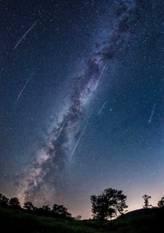 バレーボールの"元"天才、烏野に居ます。