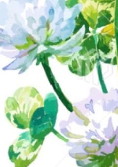 # 彩希の関係募集 ＿ .