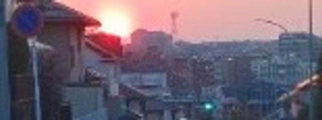 りのりゅさんの壁紙画像