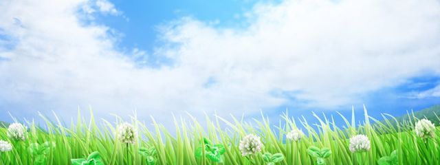 蓮見なずなさんの壁紙画像