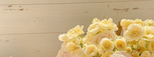 りく   #💛 警報 発令ちゅー ！!さんの壁紙画像