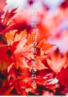 中也の妹！旧双黒に愛される！