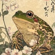 ゆらゆら🐸🪷繭の中さんのアイコン画像