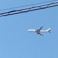 雪見だいふくさんのアイコン画像