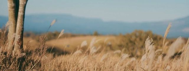 じぇみーずさんの壁紙画像