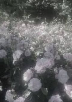 藍のおふざけ部屋