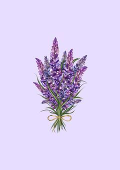 殺し屋に拾われました ／ 𝙩𝙠𝙛𝙠