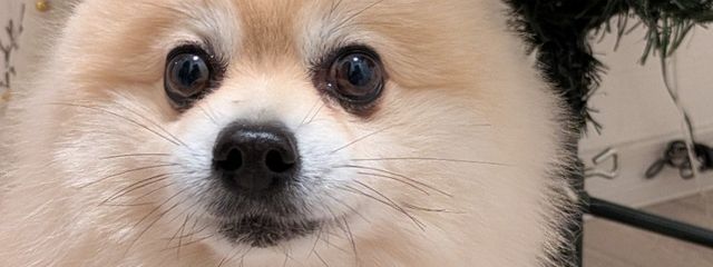 そるさんさんの壁紙画像