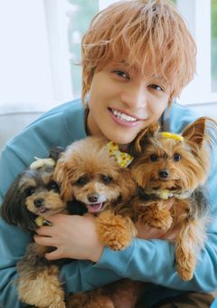 なかまたんのうえすとれぽ