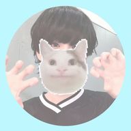 ➰ 白 羽 ぅ と 。⊹ ࣪ ˖🎀🤍 ˖* ⊹さんのアイコン画像