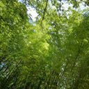 俺ひねづだし！