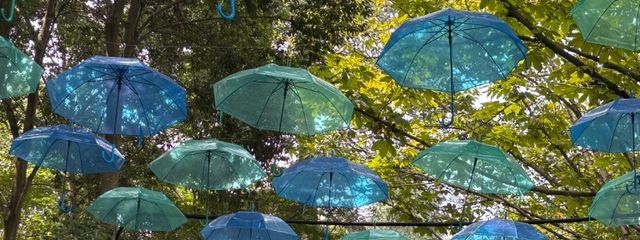 青鯨🐳さんの壁紙画像