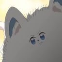 主
