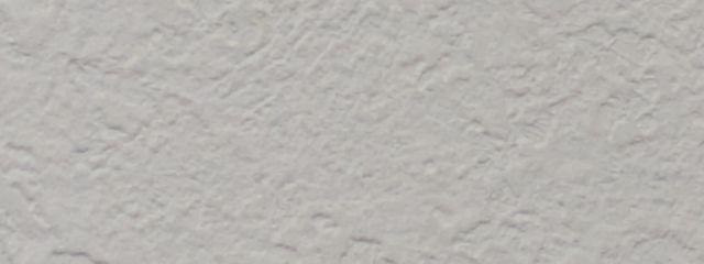 ・ω・さんの壁紙画像
