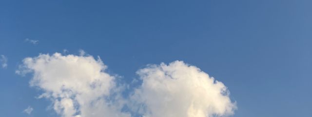 ちいさんの壁紙画像