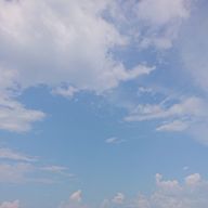 夜桜 Ｅそらさんのアイコン画像