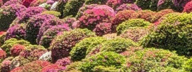 吹さんの壁紙画像