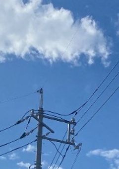 一言(毎日ではない)