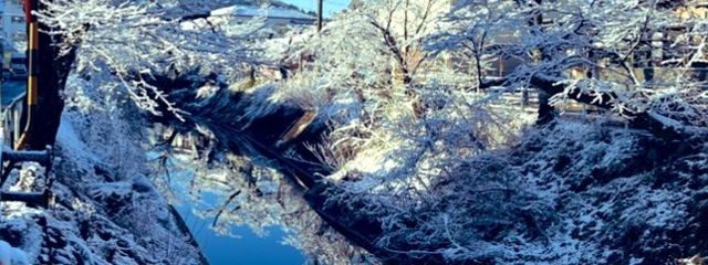 蒼空 アカウント新しく作りましたよ(   ᷄ᾥ ᷅ )さんの壁紙画像