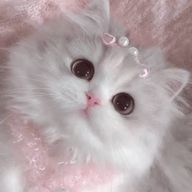 ゆずさんのアイコン画像