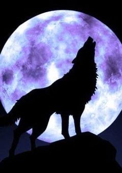 【参加〆】人と狼が隣り合う人狼ゲーム【人狼ゲーム】