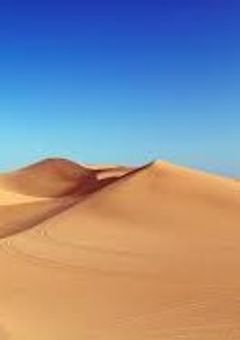 砂漠の狐は元帥を捨てるようです