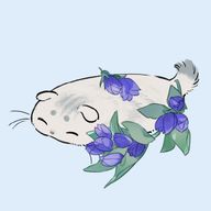 夜凪天音🐳🌊💠さんのアイコン画像