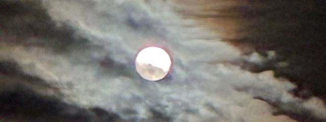 宮城ララさんの壁紙画像