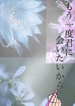 もう一度君に、会いたいから