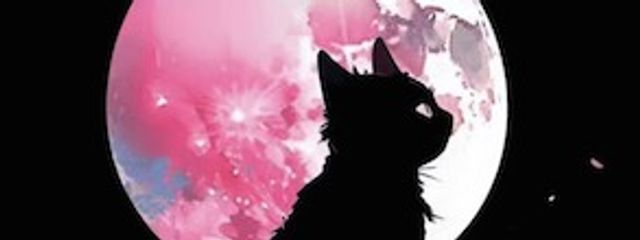 如月 彗涼さんの壁紙画像
