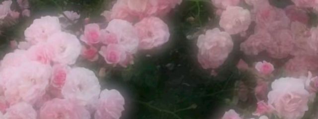 ュ ¡ さんの壁紙画像