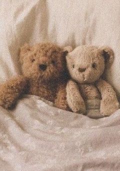 浪花家は毎日ドタバタです！