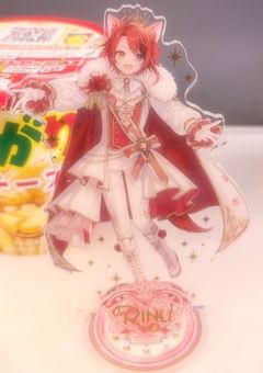 実写部屋