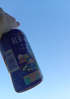 食レポ、食べ物紹介