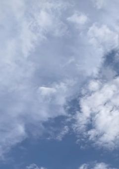 なぜか、みんなが私を放っておいてくれません! (STPR参加型)
