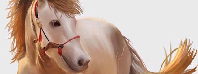 futo—umei @多忙さんの壁紙画像