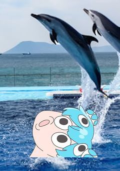 好感度が透視化されてから、皆の様子がおかしくなった